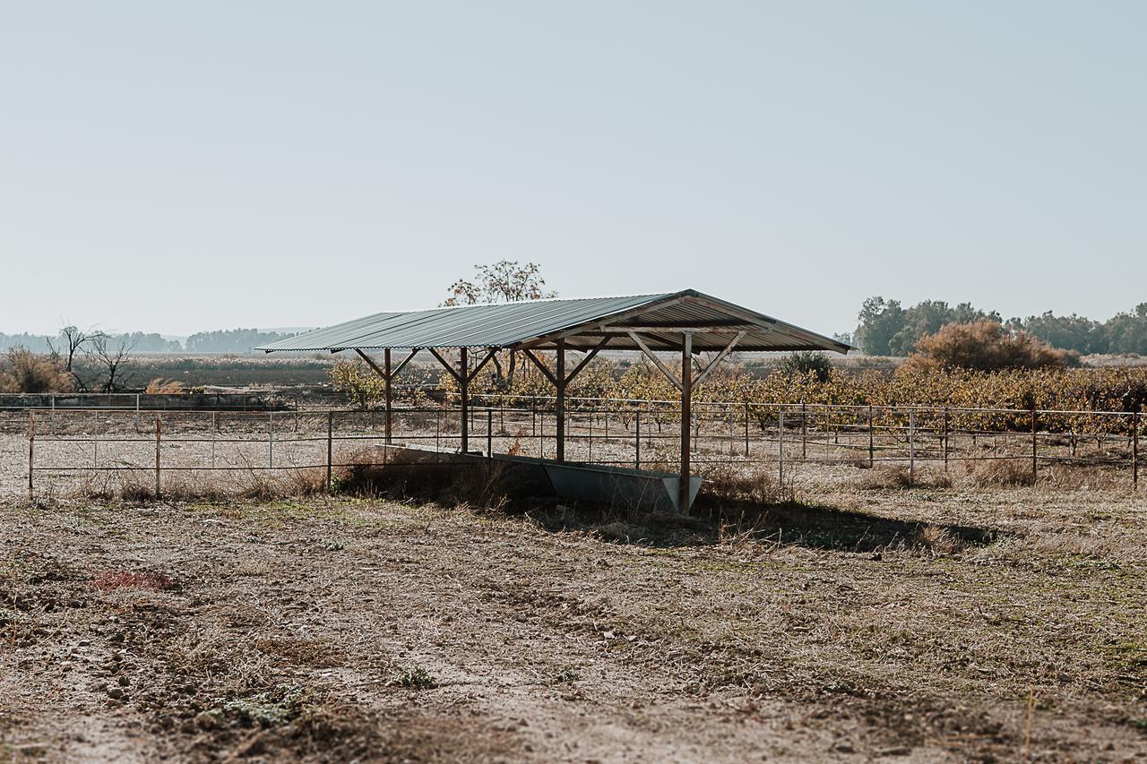 הוילה קרמונה Cortijo Santa Clara מראה חיצוני תמונה